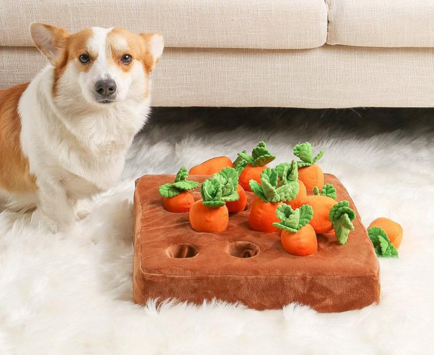 당근 농장 장난감