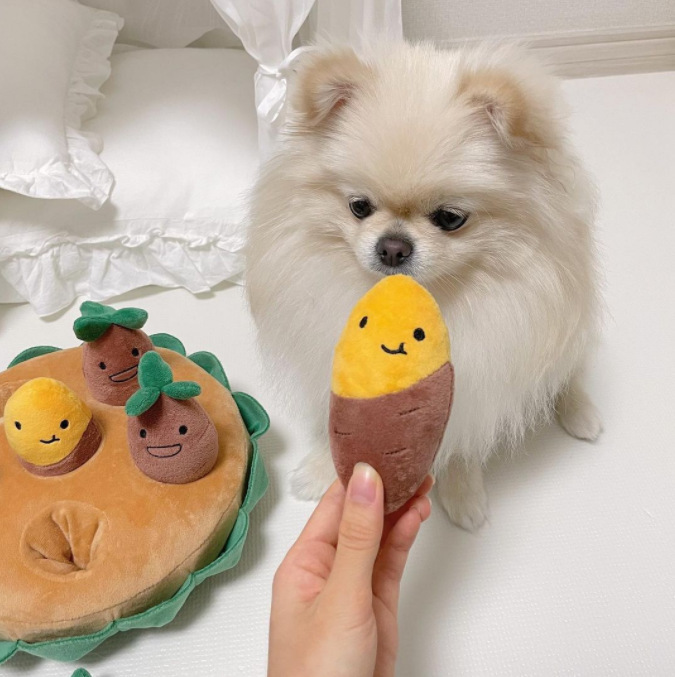 한국산 애완동물 장난감 끽끽거리는 소리가 있는 코구멍 개 장난감