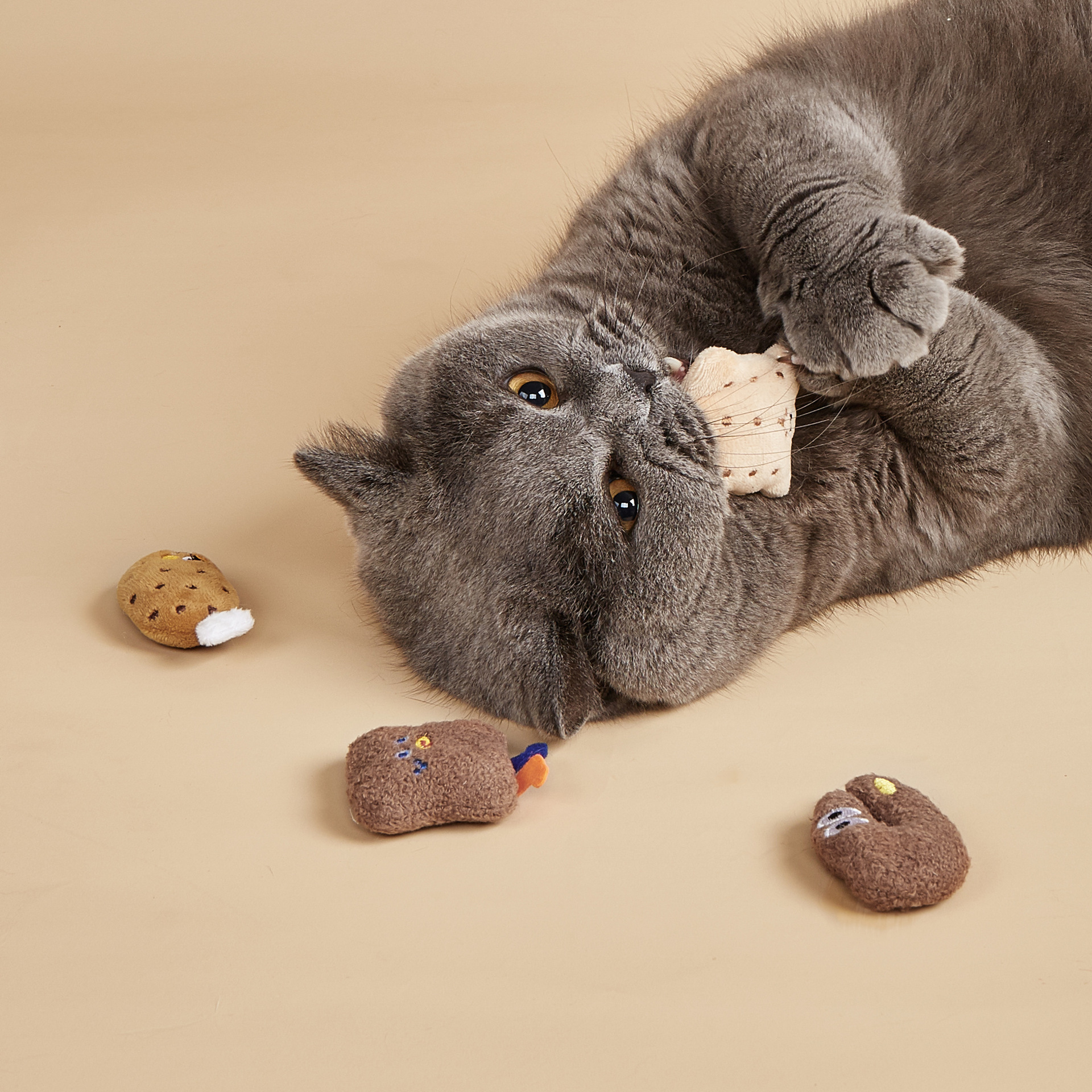  고양이를 위한 주문 Catnap 견면 벨벳 제일 Catnip 장난감 고양이 Catnip 시리즈 장난감