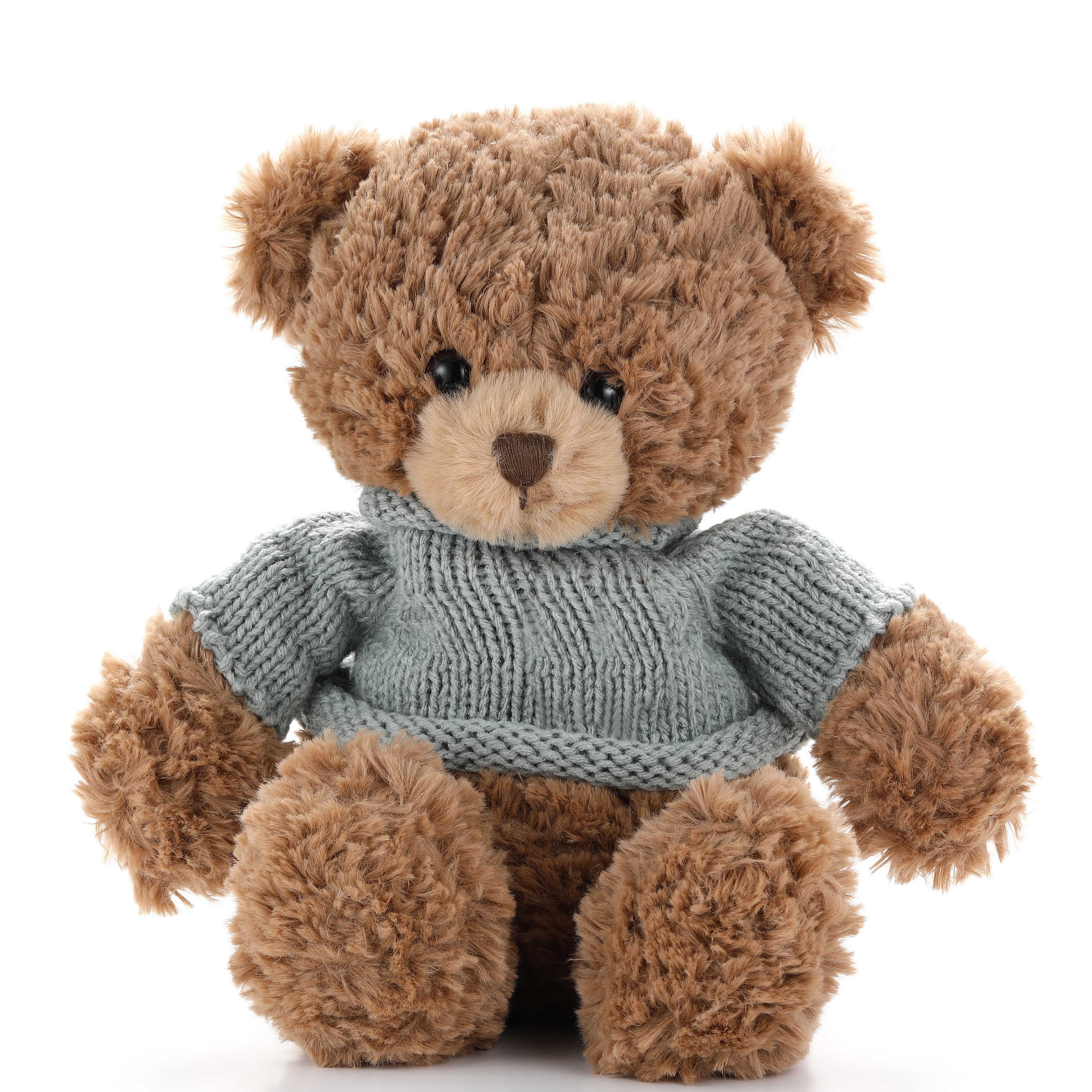 스웨터를 입은 곰